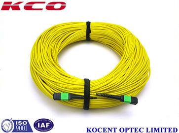1260~1650nm MPO MTP Patch Cord and MPO Trunk Cable with 0.35dB Low Insertion Loss and 60dB Return Loss
