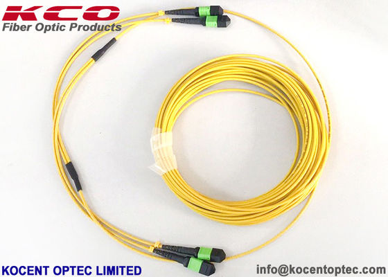 MPO APC 24fo 48cores G657A1 Elite Insertion Loss MTP Fibra ottica
